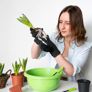 Floristry Essentials